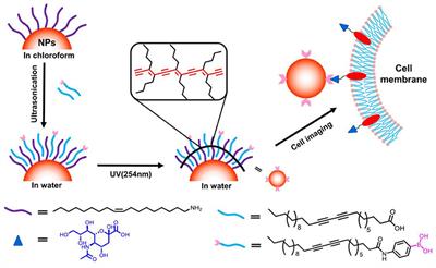 A Versatile Strategy for Surface Functionalization of Hydrophobic Nanoparticle by Boronic Acid Modified Polymerizable Diacetylene Derivatives